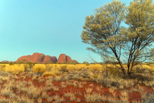 The Australian outback — red earth, spinifex and desert ranges
